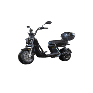 Elektrinis motoroleris E-BALDUR A9 PRO OFF ROAD 1KW 40AH | Būsto Pasaulis